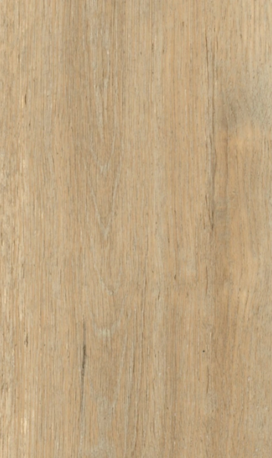 6123-1 NATURAL MAPLE OAK plank close-up