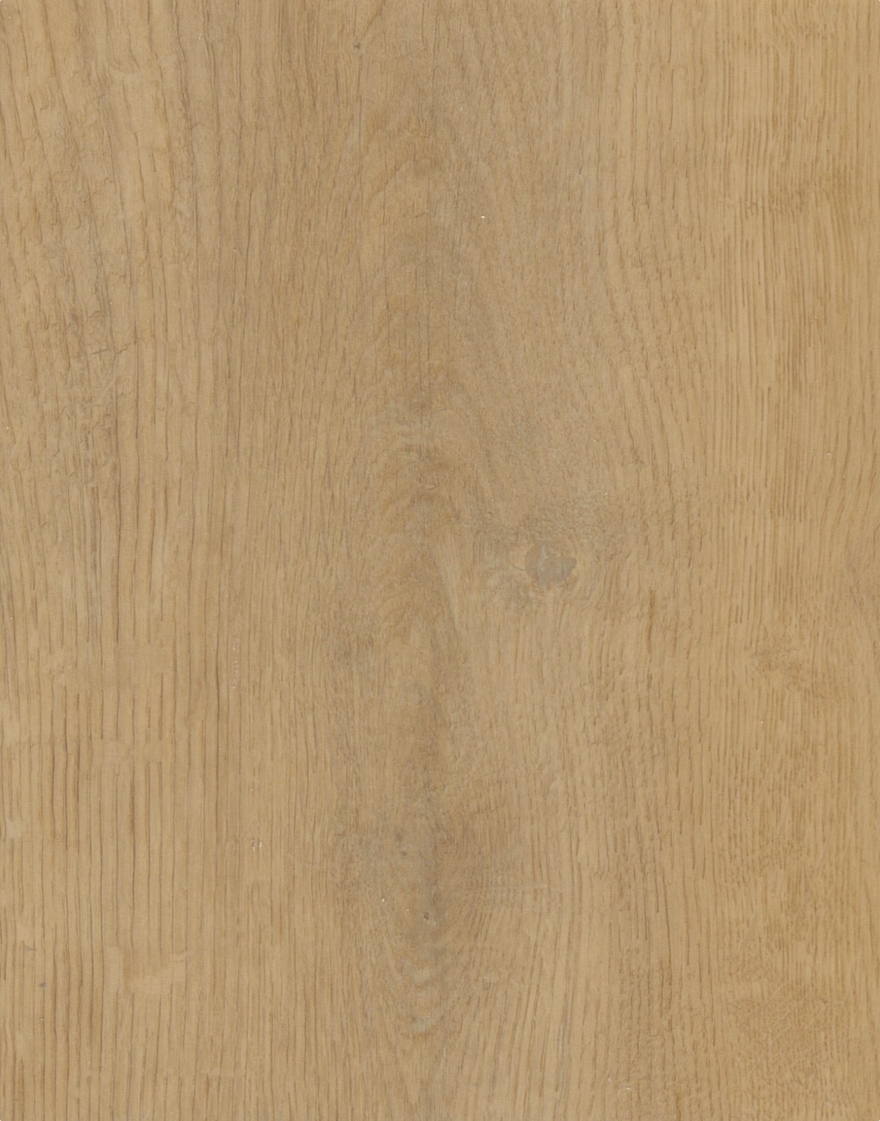 PO-102 GOLD COAST OAK plank close-up