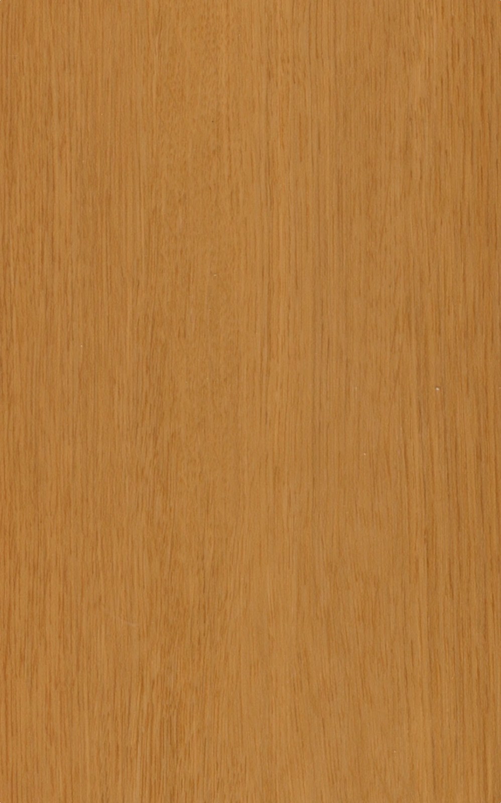PO-593 WARM GOLDEN OAK plank close-up