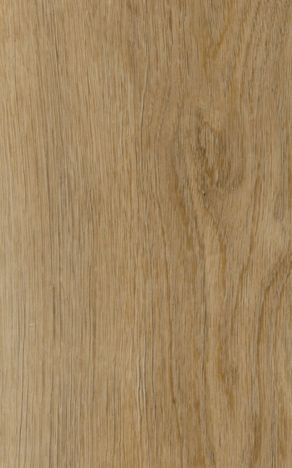 SA151 HONEY OAK plank close-up