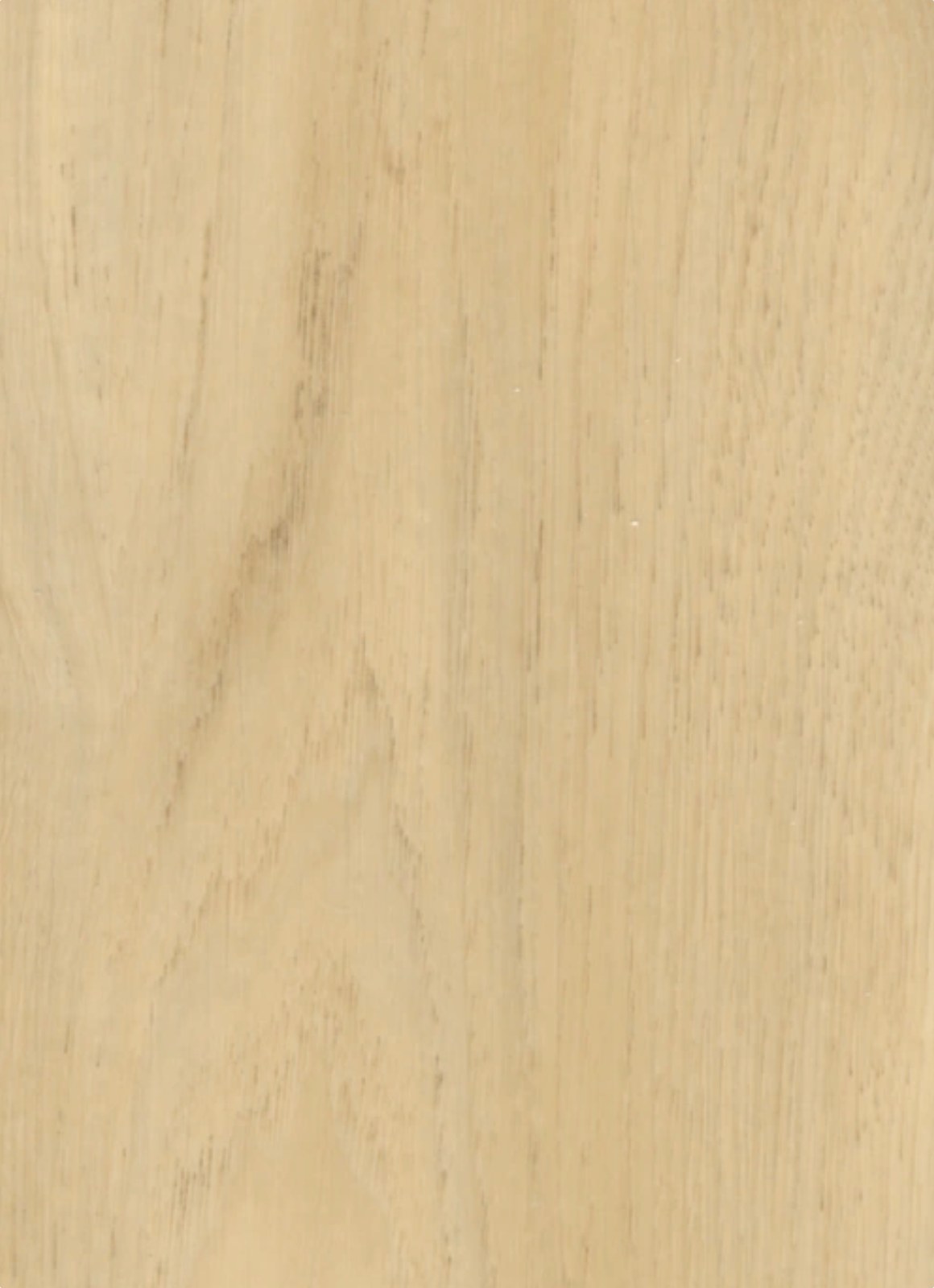 SA567 SILVER OAK plank close-up