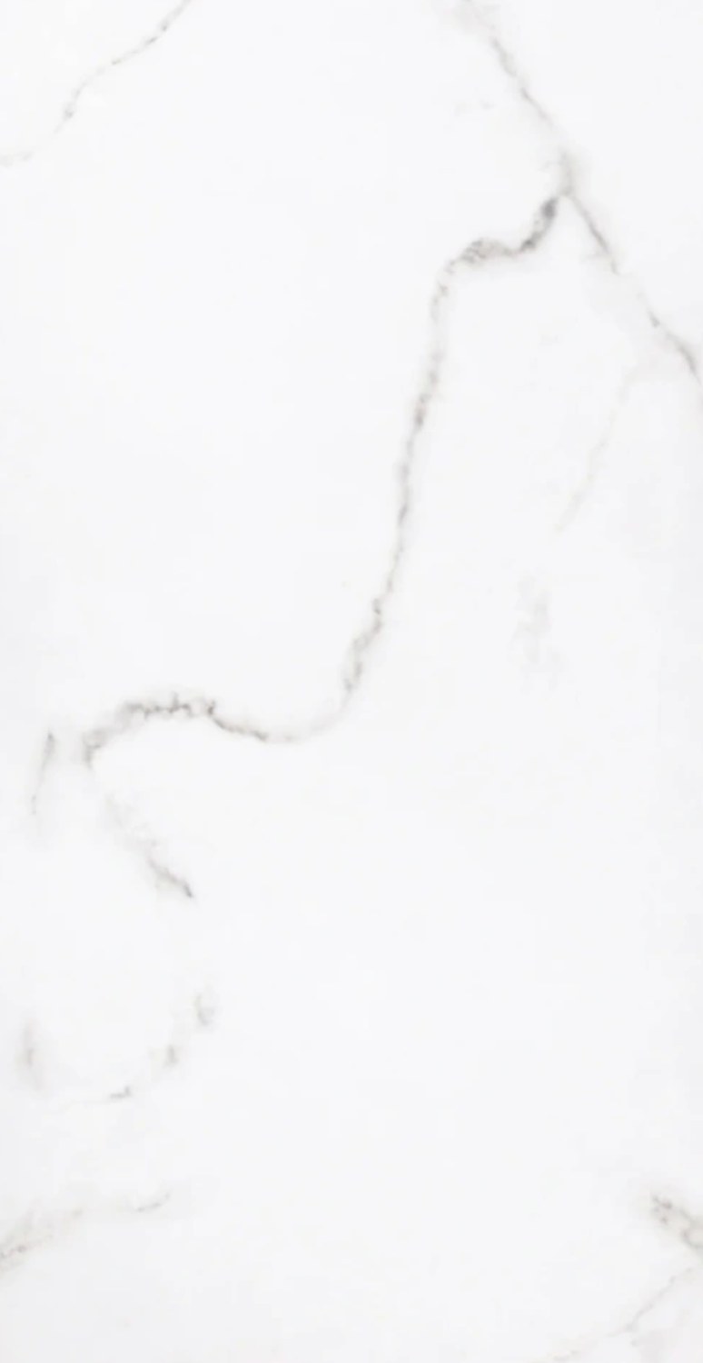 CARRARA 24X48 tile face