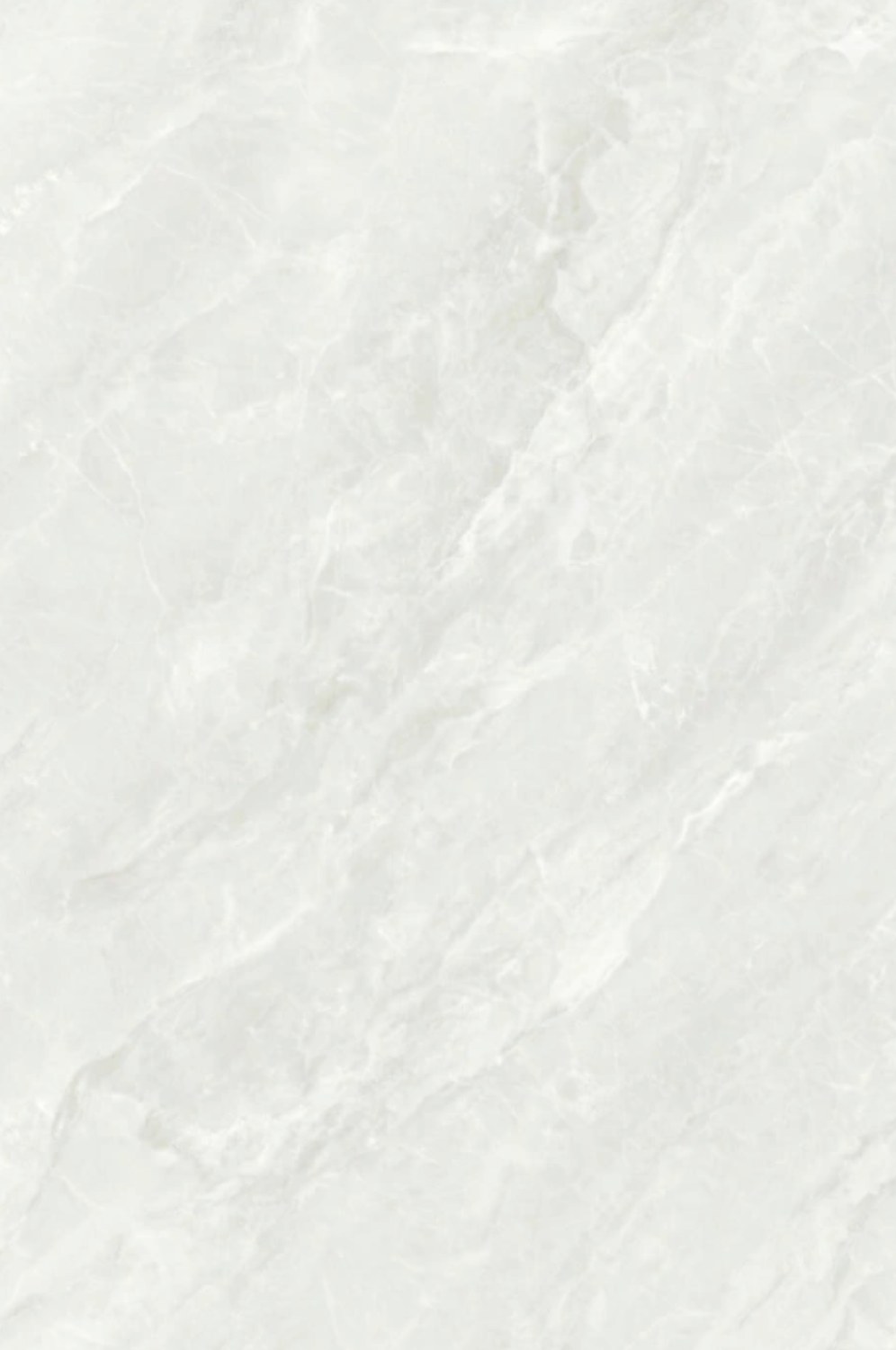 HAVIOK BIANCO 24X48 tile face