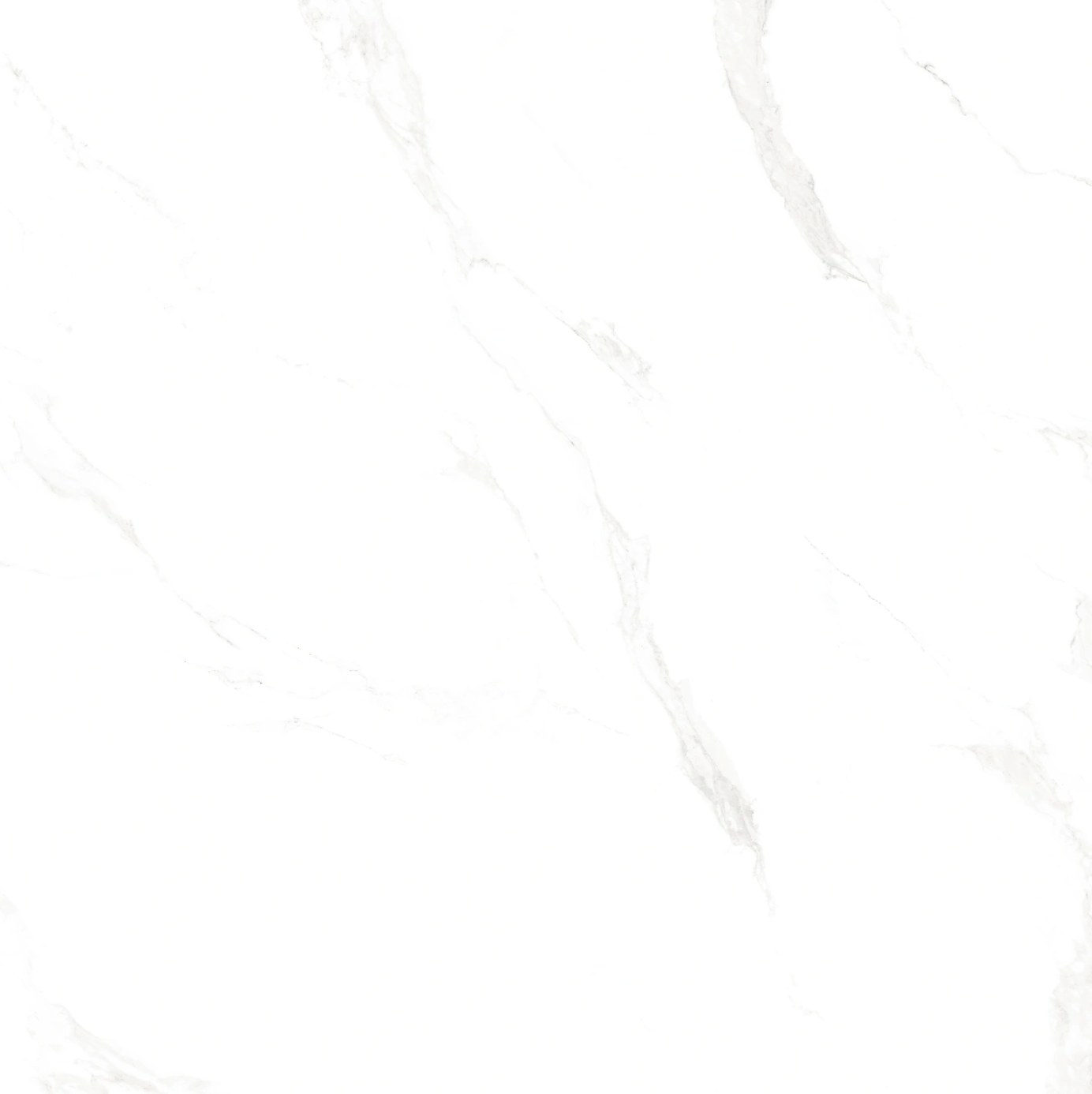 MARBLE CARRARA 48X48 tile face