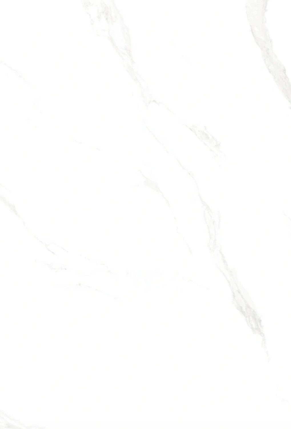 MARBLE CARRARA tile face