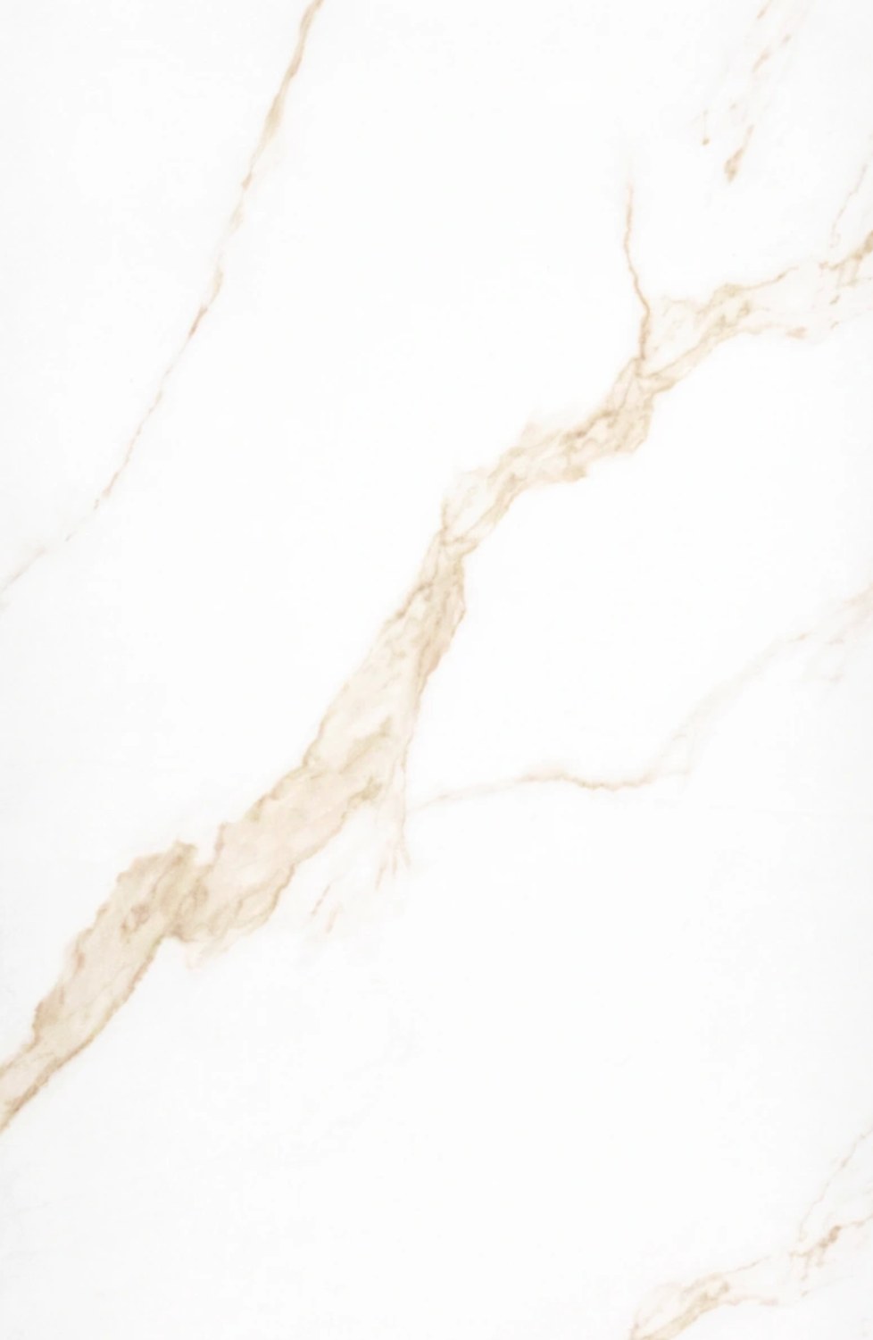 OXID STATUARIO 24X48 tile face